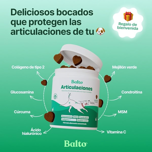 A 1:1 educational graphic displaying the core health ingredients of a dog supplement jar with clear callouts and a friendly illustrative style.